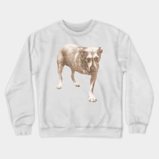 Alice Crewneck Sweatshirt